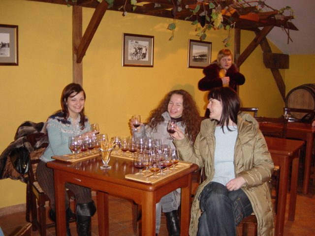 group trip about Ukraine