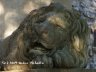 Lviv_Central_city_Lions.jpg - 