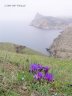 Balaklava10.JPG - 