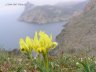 Balaklava11.JPG - 
