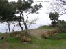 Balaklava12.JPG - 