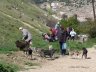 Balaklava8.JPG - 
