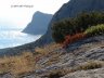 Crimea11.JPG - 