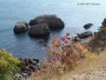 Crimea13.JPG - 