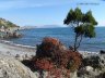 Crimea17.JPG - 