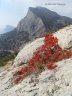 Crimea18.JPG - 