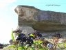 Crimea40.JPG - 