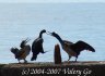 Crimea6.JPG - 