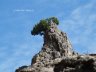 Crimea8.JPG - 