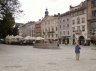 p8291111_1.jpg - 
