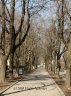 p2253906_1.jpg - 