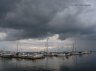 p6125697_1.jpg - 