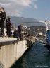 p1127929_1.jpg - 