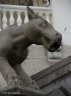 p1127964_1.jpg - 