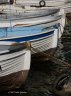 p9201586_1.jpg - 