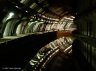 p9201611_1.jpg - 