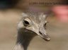 p5058753_1_2.jpg - 
