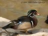 p5058756_1_2.jpg - 