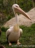 p5058767_1_2.jpg - 