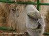 p5075072_1_2.jpg - 