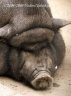 p7096061_1_2.jpg - 