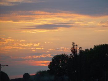 dsc00595.jpg