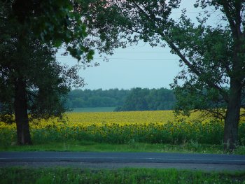 dsc00946.jpg