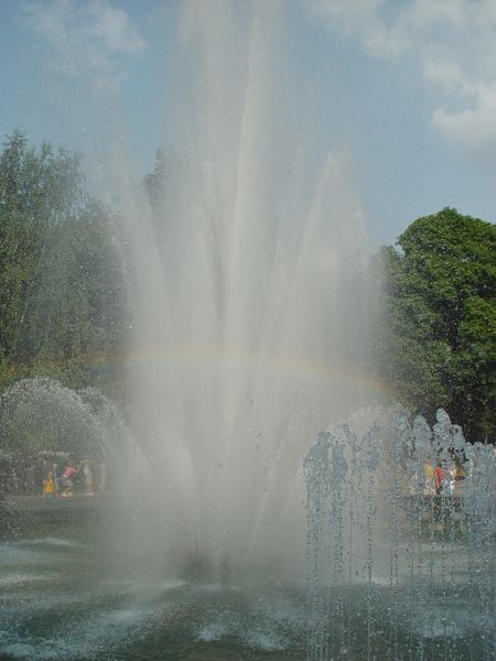 dsc01503_1.jpg