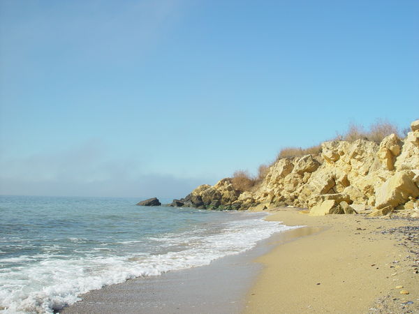 dsc01691_1.jpg