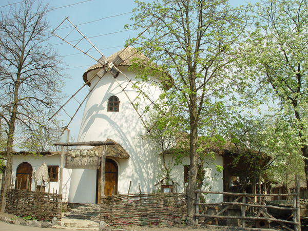 dsc03142_1.jpg