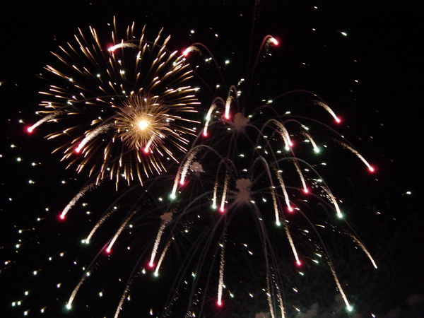dsc03266_1.jpg