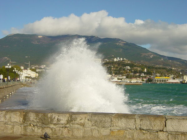 dsc03782_1.jpg