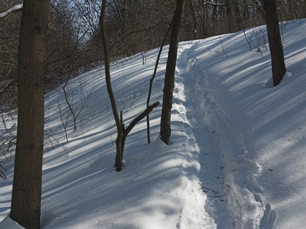 p3094261-01_1.jpg