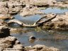 river-Buh3.JPG - 