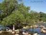 river1.JPG - 