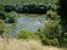 sheshory-Buh-river-bathing.jpg - 