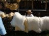 sorochintsy_001.jpg - 